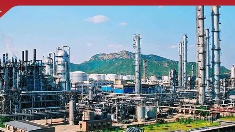近年来，上海增稠剂批发市场呈现出以下特点：